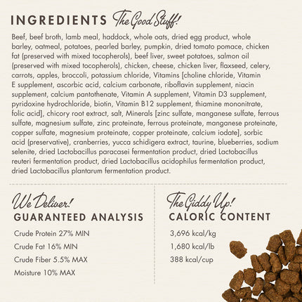 Fromm Four-Star Nutritionals Highlander Beef, Oats, 'n Barley Recipe Food for Dogs
