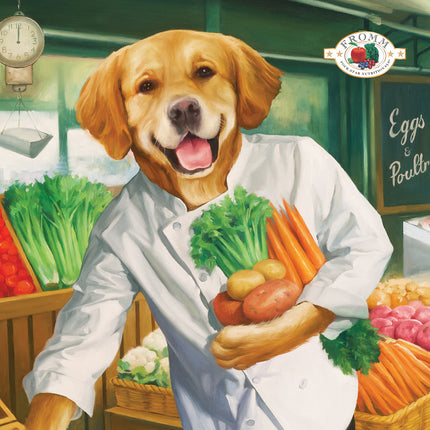 Fromm Four-Star Nutritionals Salmon À La Veg Food for Dogs