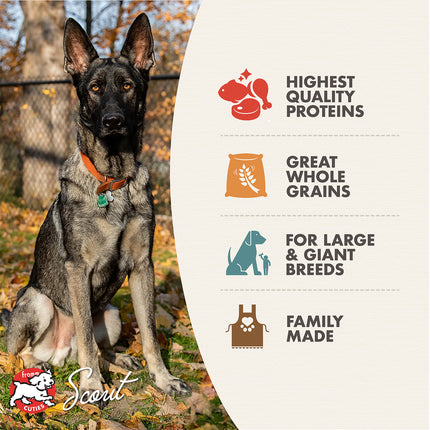 Fromm Family Large Breed Adult Gold Food for Dogs