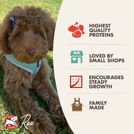 Fromm Family Heartland Gold Large Breed Puppy Food for Dogs