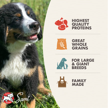 Fromm Family Large Breed Puppy Gold Food for Dogs