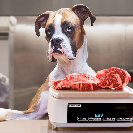 Fromm Family Heartland Gold Adult Food for Dogs