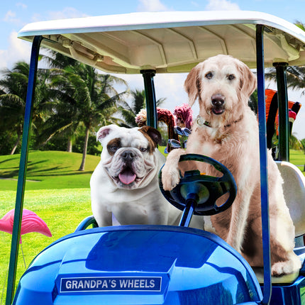 Fromm Family Reduced Activity & Senior Gold Food for Dogs