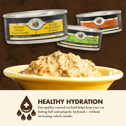 Fromm Shredded Chicken In Gravy Entree Cat Cans