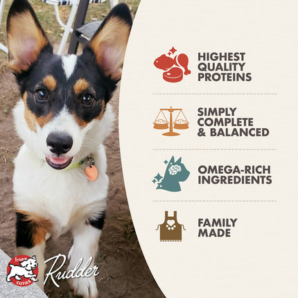 Fromm Classic Puppy Chicken & Salmon Pate dog cans