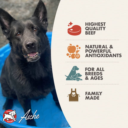 Fromm Diner Favorites Bud's Beef & Broccoli Stew Dog Cans