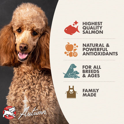 Fromm Diner Favorites Skipper's Seafood Chowder Stew Dog Cans