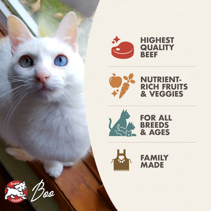 Fromm Beef Livattini Veg Recipe For Cats