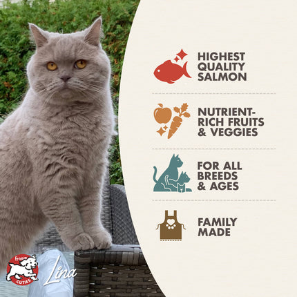 Fromm Salmon Tunachovy Recipe For Cats