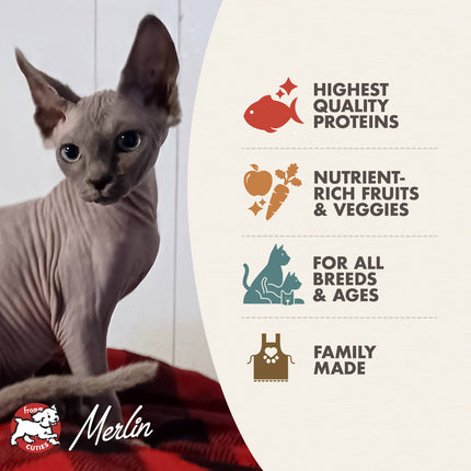 Fromm Trout & Whitefish Recipe for Cats