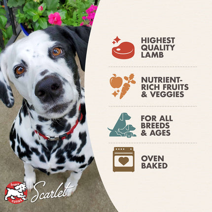 Fromm Lamb with Cranberry Oven Baked Dog Treats