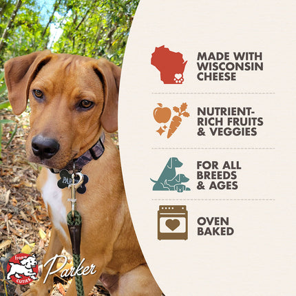 Fromm Parmesan Cheese Oven Baked Dog Treats