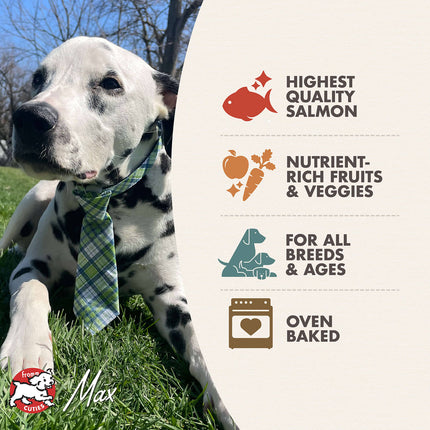 Fromm Salmon with Sweet Potato Oven Baked Dog Treats