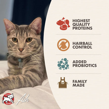 Fromm Family Indoor Cat Gold Food for Cats