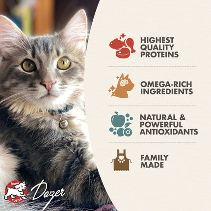 Fromm Family Kitten Gold Food for Cats