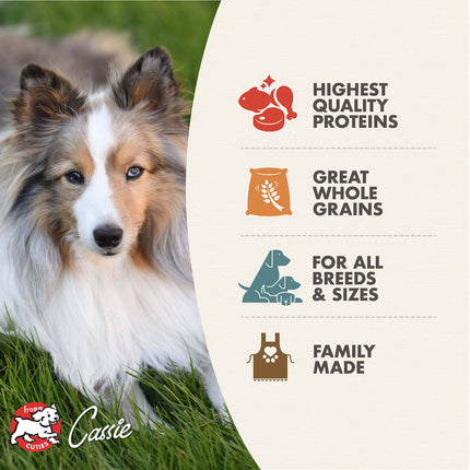 Fromm Family Adult Gold with Ancient Grains Food for Dogs