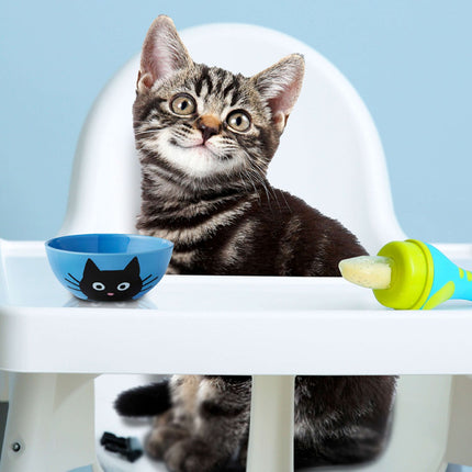 Fromm Family Kitten Gold Food for Cats