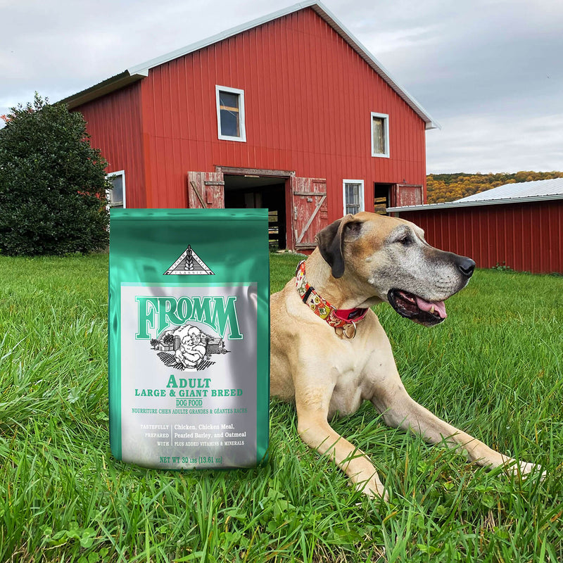 Fromm Classic Adult Large & Giant Breed For Dogs