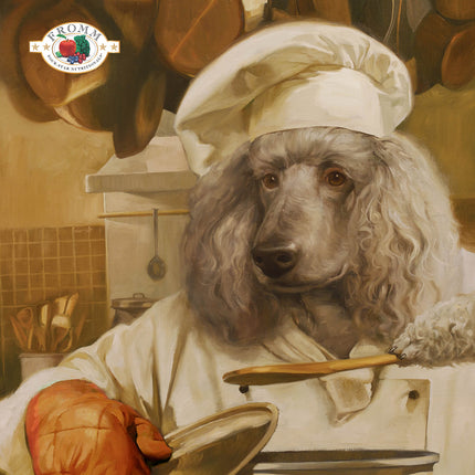 Fromm Salmon with Sweet Potato Oven Baked Dog Treats