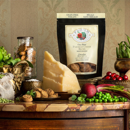 Fromm Parmesan Cheese Oven Baked Dog Treats