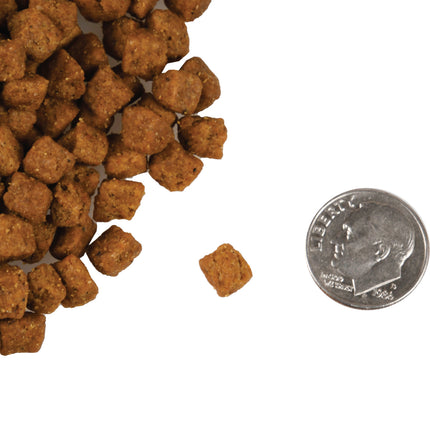 Fromm Beef Livattini Veg Recipe For Cats