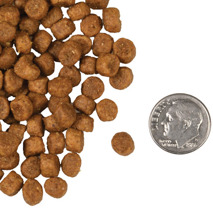 Fromm Chicken A La Veg Recipe for Cats