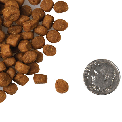 Fromm Duck A La Veg Recipe for Cats