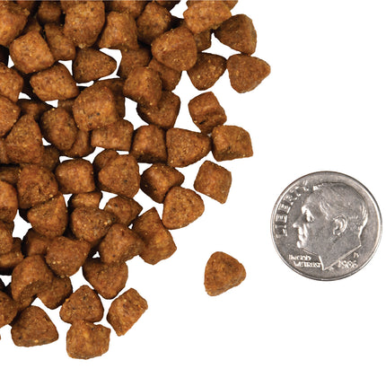 Fromm Hasen Duckenpfeffer Recipe for Cats