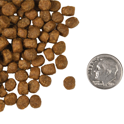 Fromm Salmon A La Veg Recipe For Cats