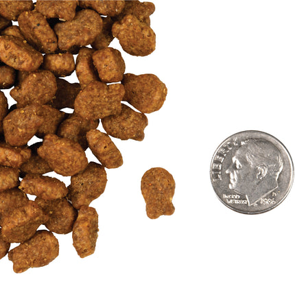 Fromm Salmon Tunachovy Recipe For Cats