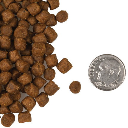 Fromm Surf & Turf Recipe For Cats