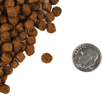 Fromm Trout & Whitefish Recipe for Cats