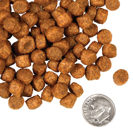 Fromm Four-Star Nutritionals®  Game Bird Recipe Dog Food