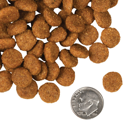Fromm Four-Star Nutritionals Pork & Applesauce Formula Dog Food