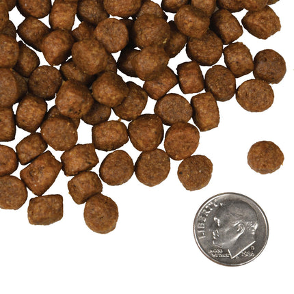 Fromm Four-Star Nutritionals Salmon Tunalini Recipe Food for Dogs