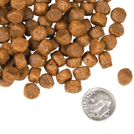 Fromm Four-Star Nutritionals Surf & Turf Recipe Food for Dogs
