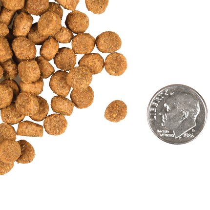 Fromm Family Healthy Weight Gold Food for Cats