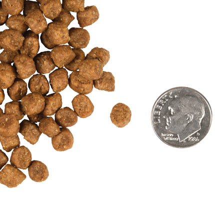 Fromm Family Indoor Cat Gold Food for Cats