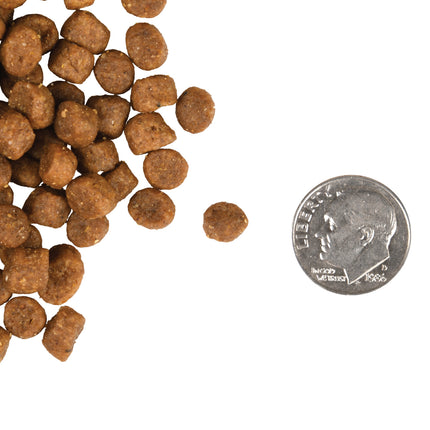 Fromm Family Kitten Gold Food for Cats