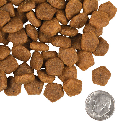 Fromm Family Heartland Gold Adult Food for Dogs