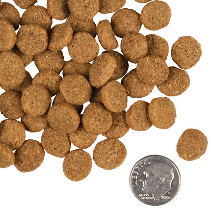 Fromm Family Large Breed Adult Gold Food for Dogs