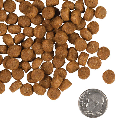 Fromm Family Puppy Gold Food for Dogs