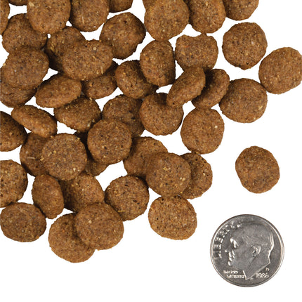 Fromm Family Reduced Activity & Senior Gold Food for Dogs