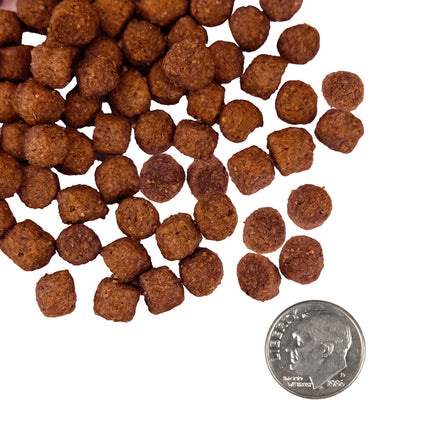 Fromm Nutritionals Sensitive Skin & Stomach Salmon Recipe Dog Food