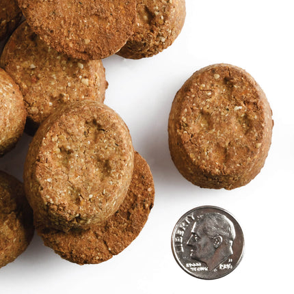 Fromm Parmesan Cheese Oven Baked Dog Treats