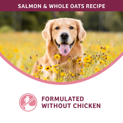 Fromm Nutritionals Sensitive Skin & Stomach Salmon Recipe Dog Food