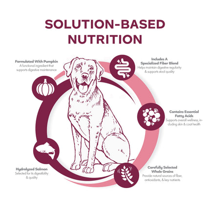 Fromm Nutritionals Sensitive Skin & Stomach Salmon Recipe Dog Food
