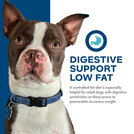 Fromm Nutritionals Digestive Support Low Fat Chicken Recipe Dog Food
