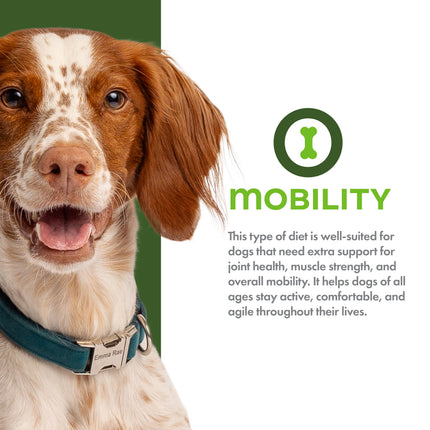 Fromm Nutritionals Mobility Chicken Recipe Dog Food
