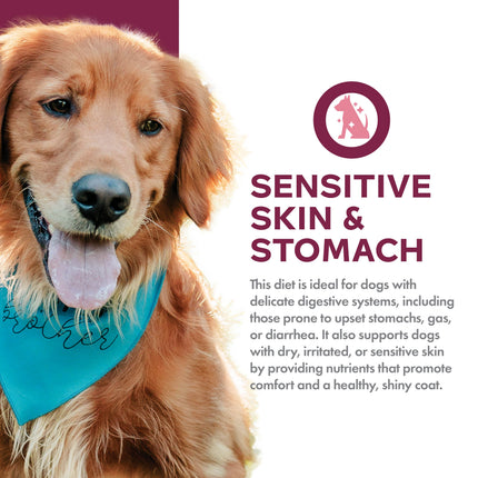 Fromm Nutritionals Sensitive Skin & Stomach Salmon Recipe Dog Food